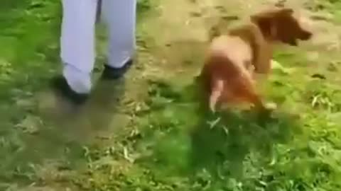 22funny