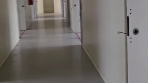 Strange Abandoned Buildings, what had happened in them?