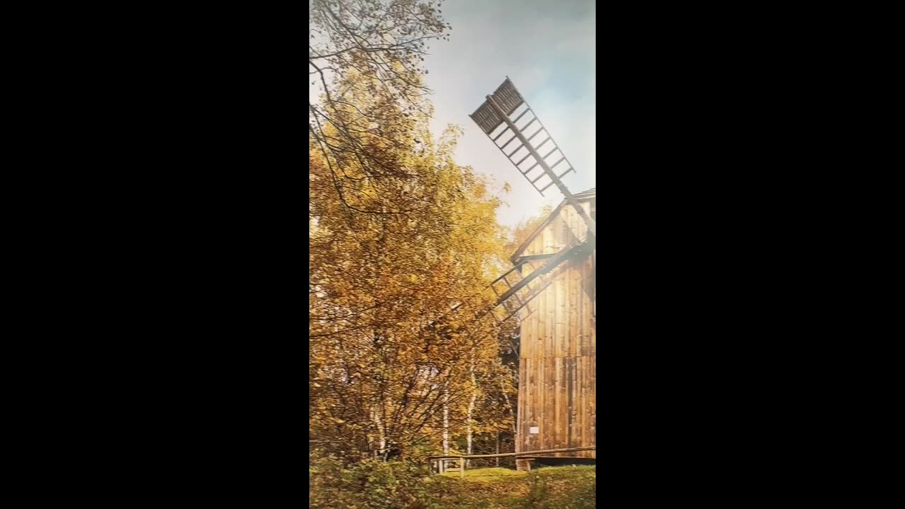 Lepší než prášky na spaní (ašvaganda)