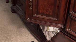 😂👗 Your Fashion Sense is Questionable... Wait For It! | FunFM