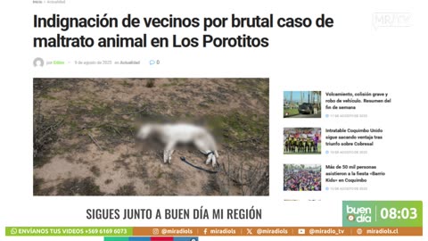 BUEN DIA 11/08/2025