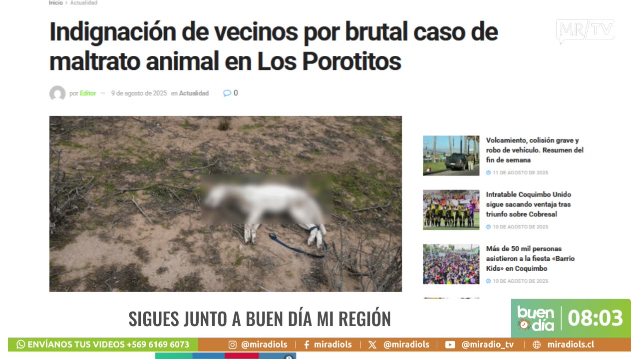 BUEN DIA 11/08/2025