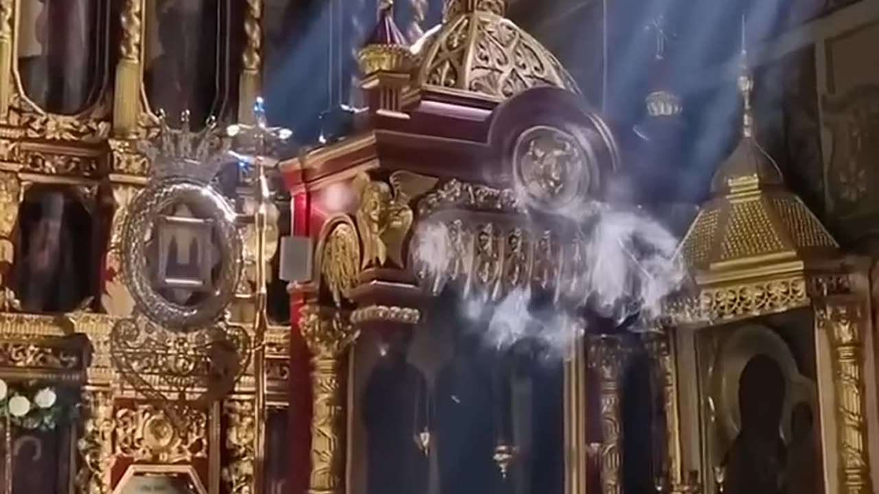 Les miracles sont partout autour de nous !