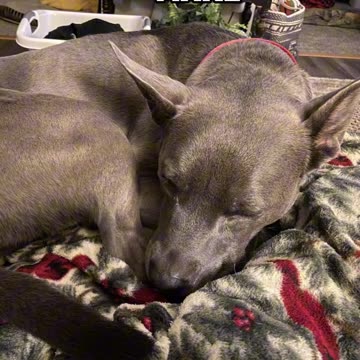 Not everyday will be easy