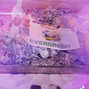 Tim Rifat TikTok Videos