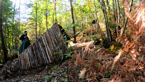 🏕️ Bushcraft Shelter Camping: Building Fire Pit & Roof | Survival Skills & Campfire Cooking