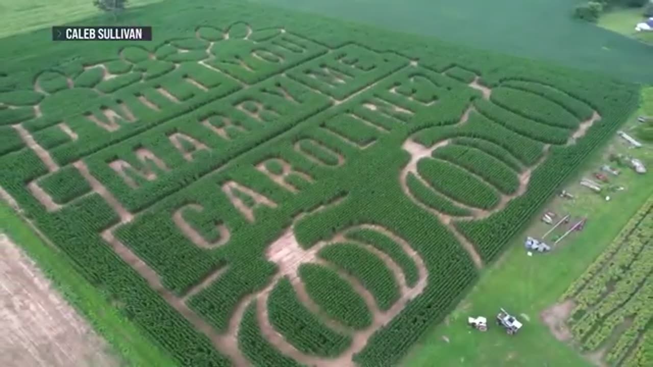 Ohio man etches wedding proposal in corn maze