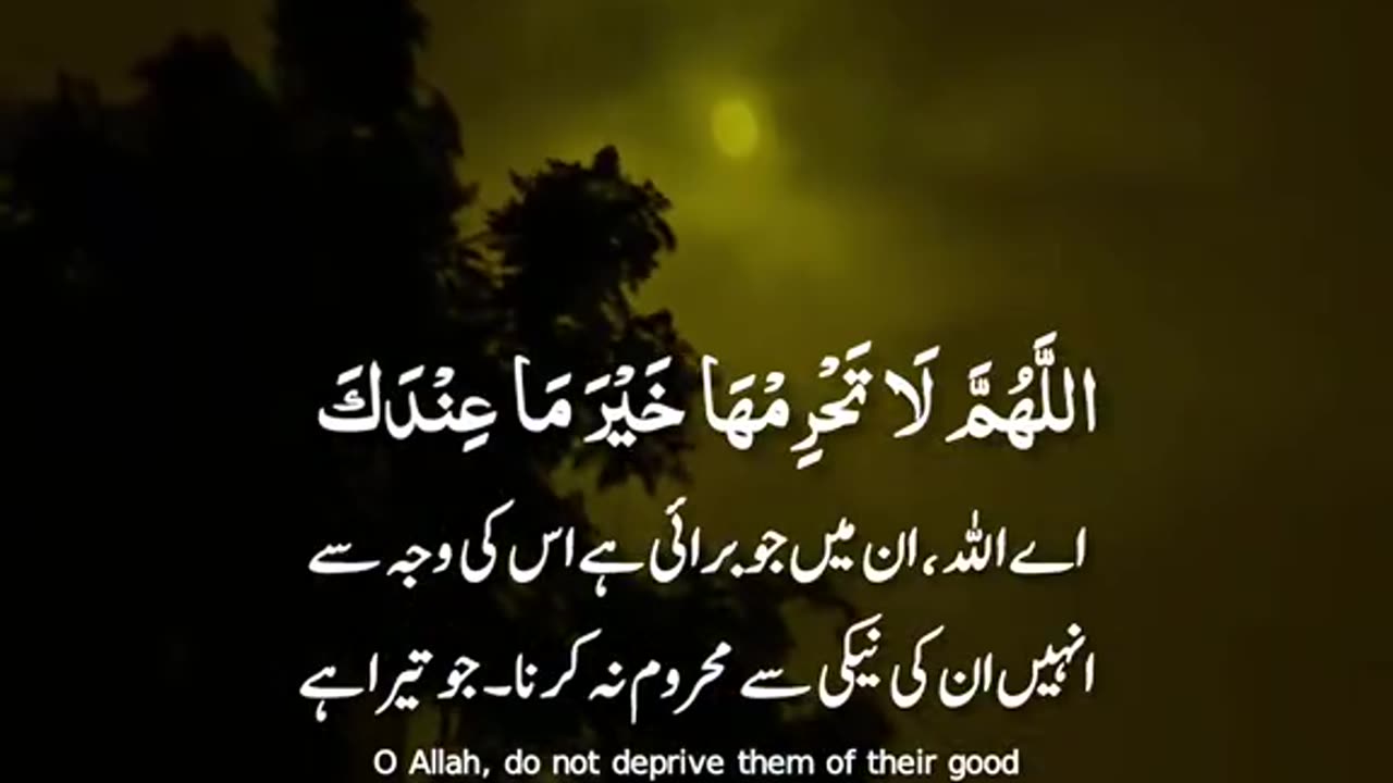 Ameen summa Ameen 🤲🏻🤲🏻🤲🏻