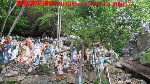 華富滿天神佛 Buddhas in Wah Fu, mhp173
