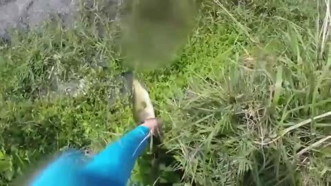 Un pêcheur ramasse un poisson mais n'a pas vu ce qui se cache dans ces eaux... Terrifiant