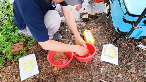 Flusszauber Auf der Suche nach Fischen
