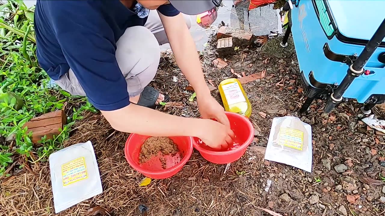 Flusszauber Auf der Suche nach Fischen
