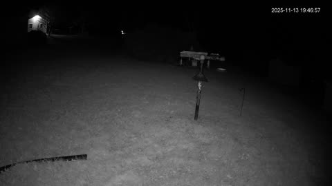 Bird Feeder in Western Maryland USA