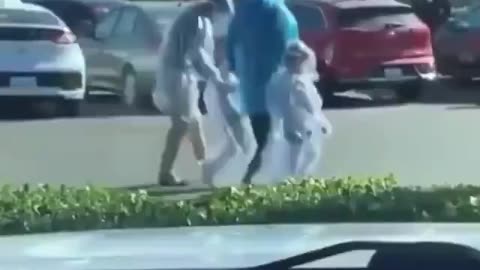 This is what fear does to compliant sheep