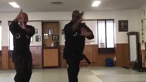 Hapkido