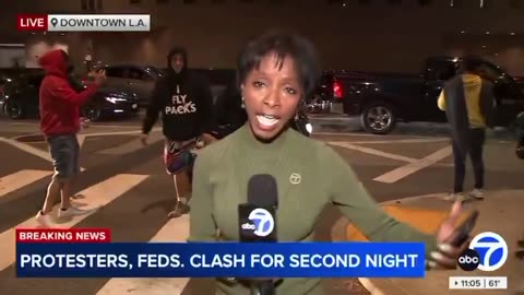 The LA riots were “mostly very peaceful” according mainstream media