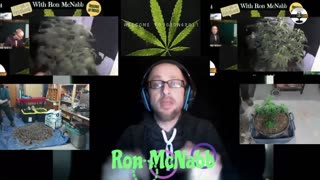 Grow 420 Today