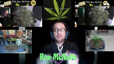 Grow 420 Today