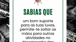 ‼Suporte Luvas Vega‼