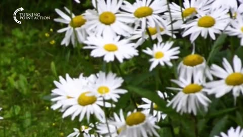 Illegal immigrants are bad for the environment, pass it on. 😏