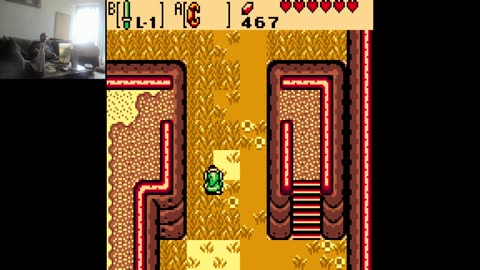 The Legend of the ZZZZZZZEEEEEEEEELLLLDDDAAAA The Oracle of the Seasons (The Colored Gameboy)