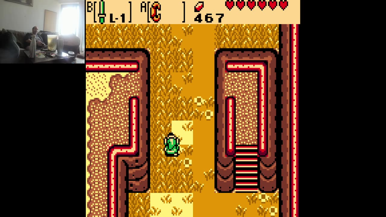 The Legend of the ZZZZZZZEEEEEEEEELLLLDDDAAAA The Oracle of the Seasons (The Colored Gameboy)