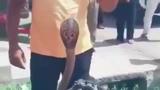 🤣🔧 You Won't Believe What This Mechanic Does! | FunFM