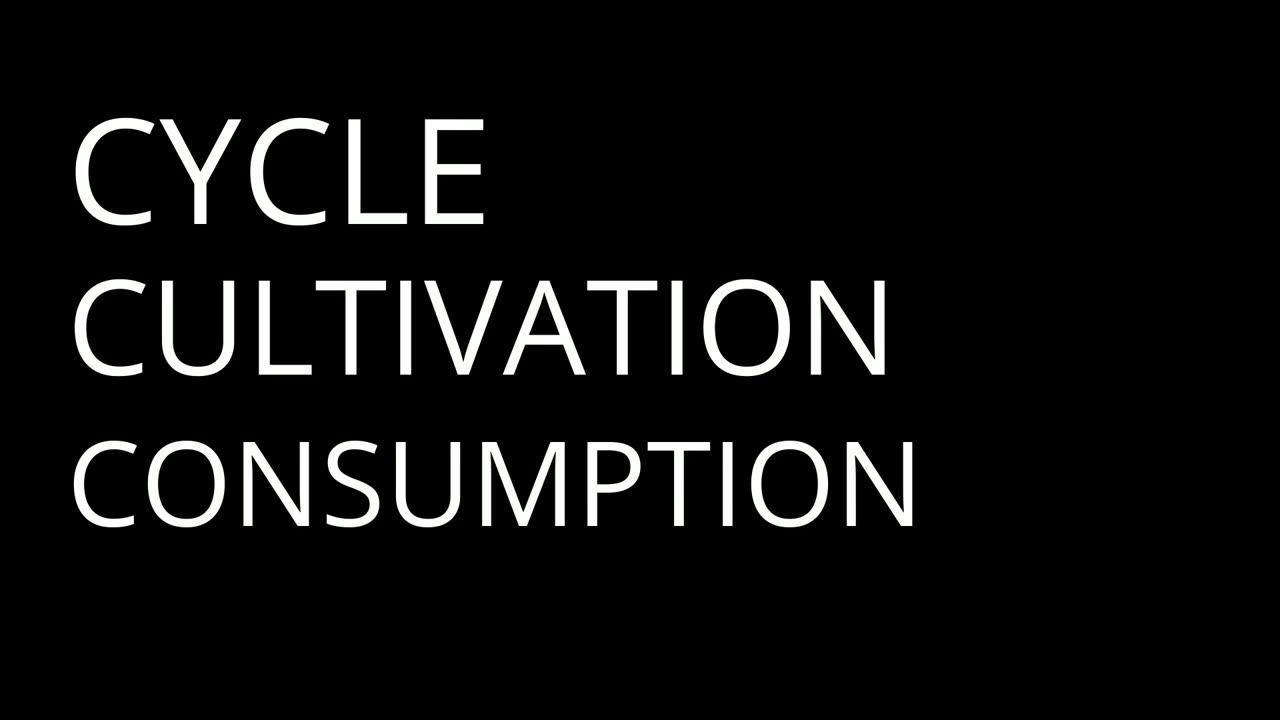 Cocaine's Dark Embrace | Dostoevsky - Part 1