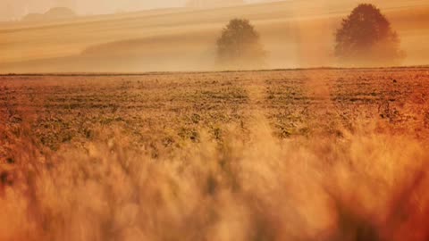 7 profound truths the Scriptures teach us about FAITH!