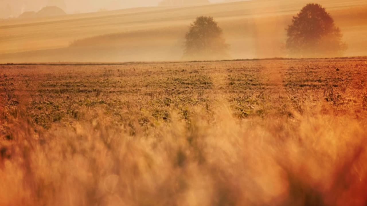 7 profound truths the Scriptures teach us about FAITH!