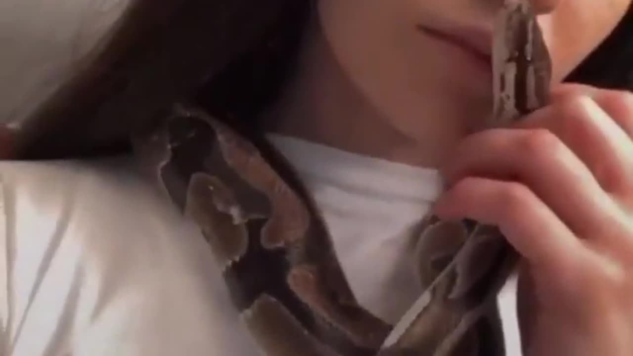 Would you like to be the snake with her.?