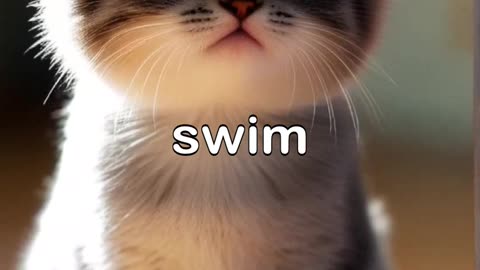 A Cat and A Duck wants to swim