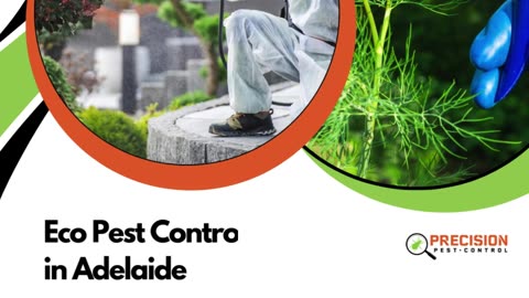 Eco Pest Control in Adelaide: Sustainable Solutions for a Pest-Free Home