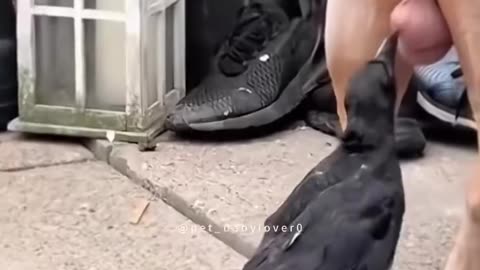 🤣😂
