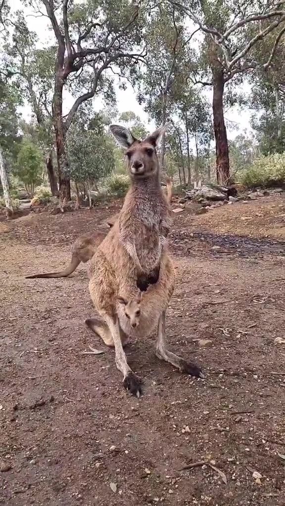 Welcome to Australia 🇦🇺