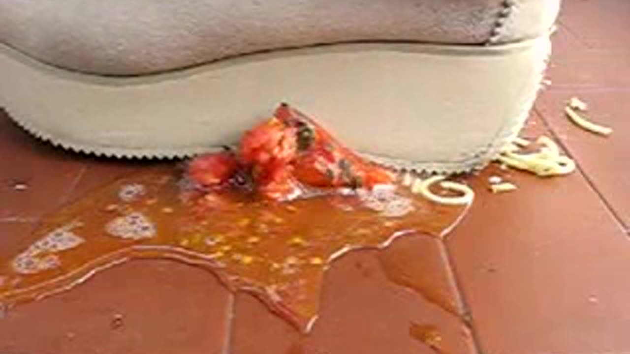 Volatile Sneakers Crushing Spaghetti & Tomato