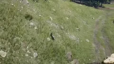 The most captivating prey