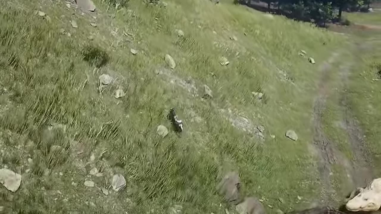 The most captivating prey