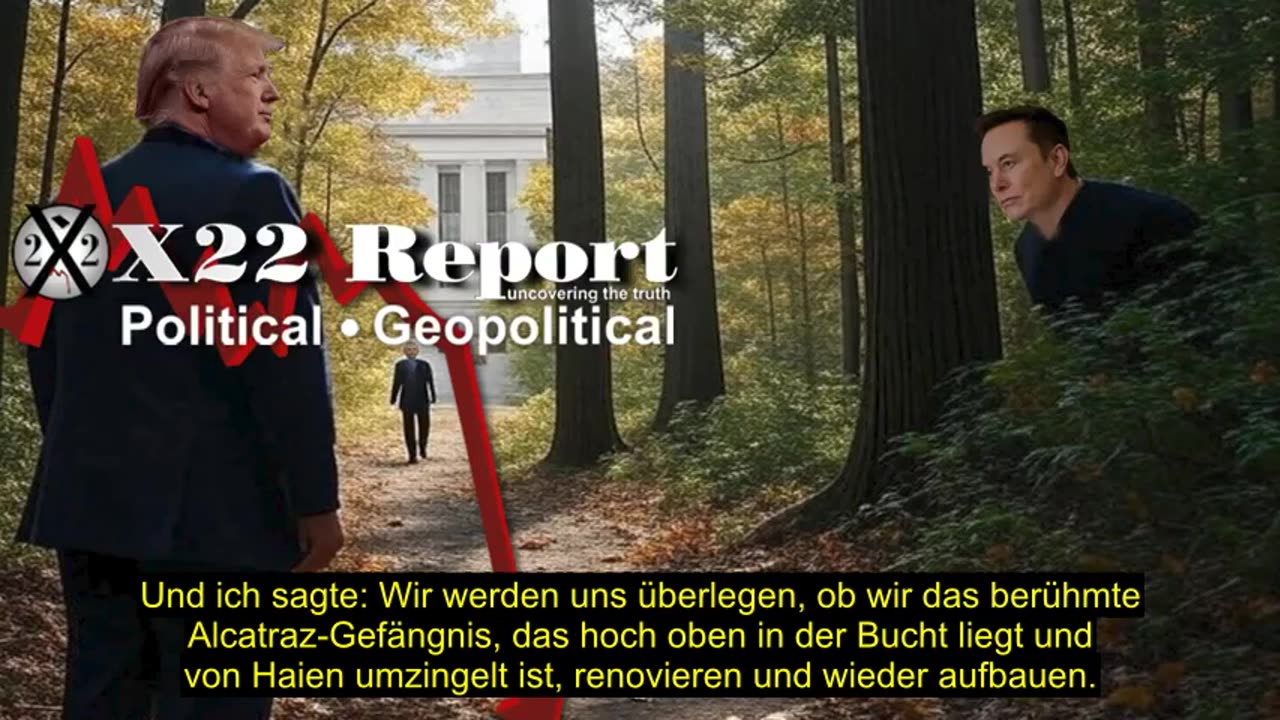 Trump Elon frei?