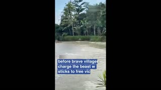 Terrifying moment crocodile drags grandfather to his death
