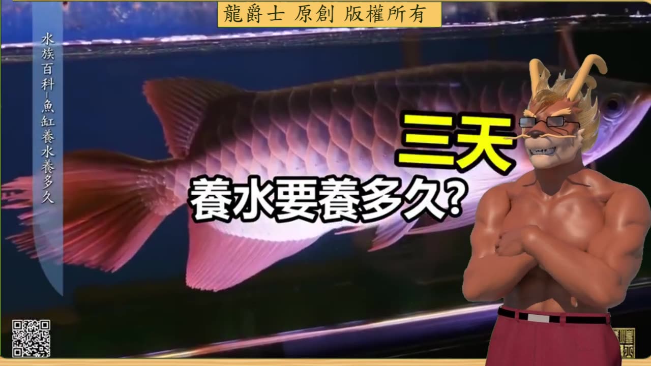 【龍爵士】水族百科 新缸養水養多久