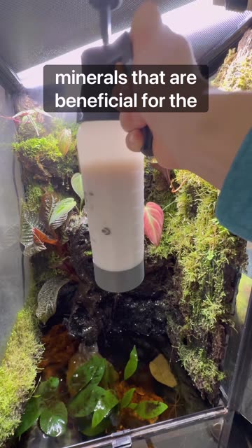 Clay Minerals - Terrariums