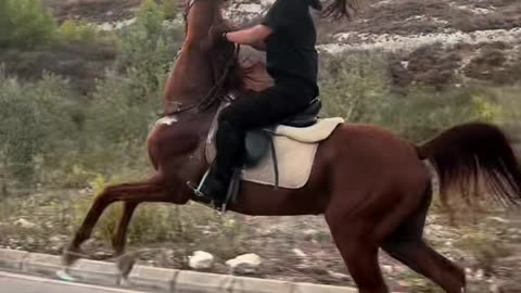 Riding this horse takes courage
