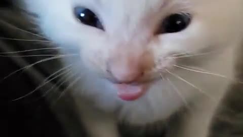 Hi Herbert