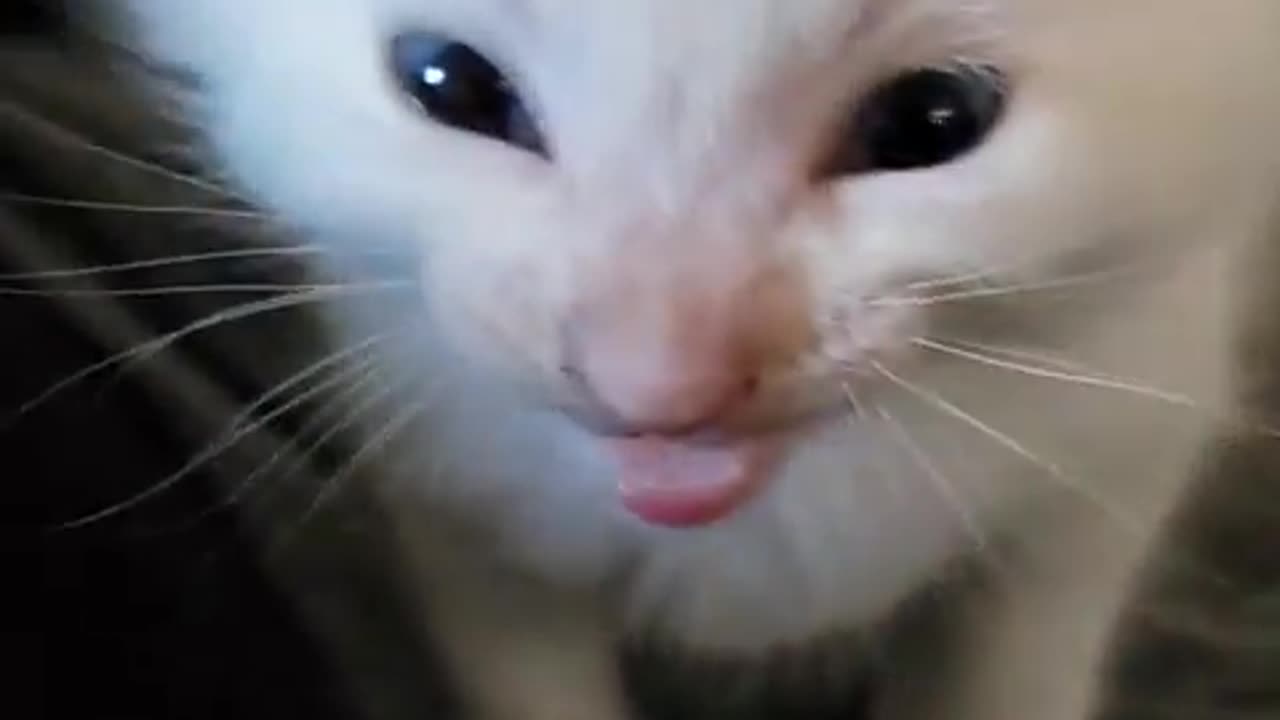 Hi Herbert