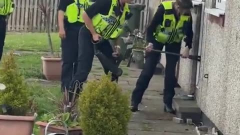 You call yourself the Police force? No force in ya...