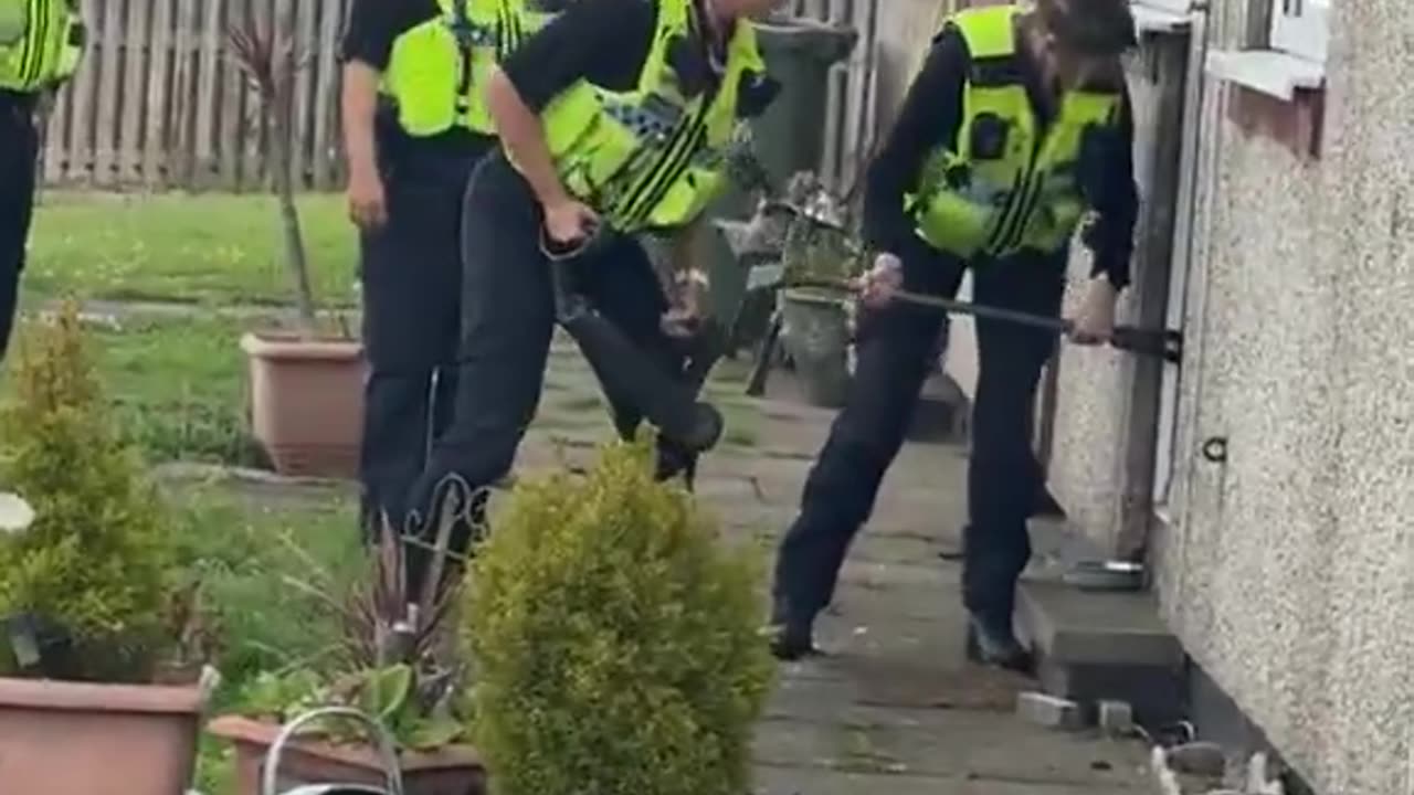 You call yourself the Police force? No force in ya...