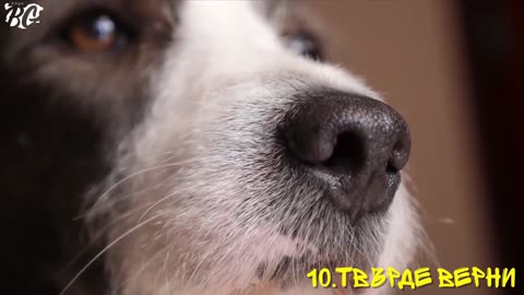 30 FACTS You DON'T WANT to KNOW