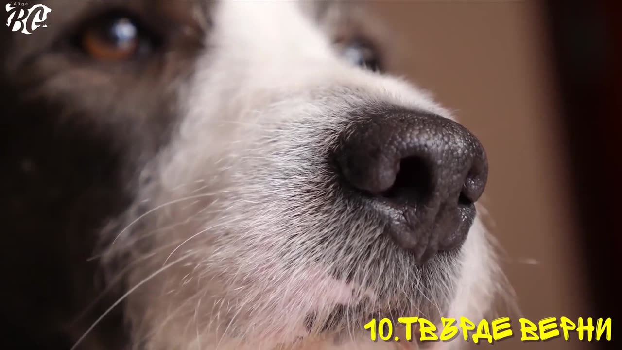 30 FACTS You DON'T WANT to KNOW