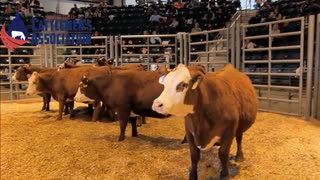 Trent Loos in the Morning 5/30/2025